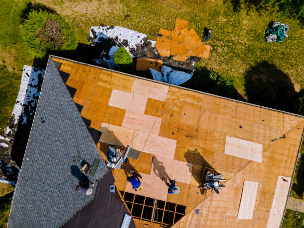Best Roof Maintenance Services  in Kamiah, ID